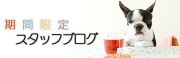 スタッフブログ