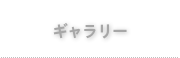 ギャラリー